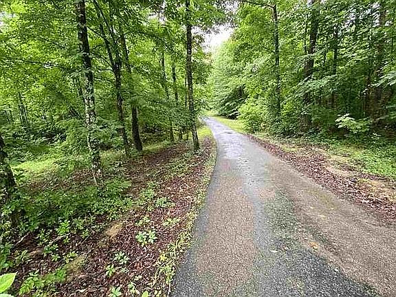 5th image of 195 Holly Springs Rd