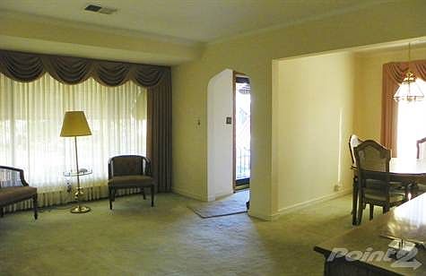 Living - Dining Room