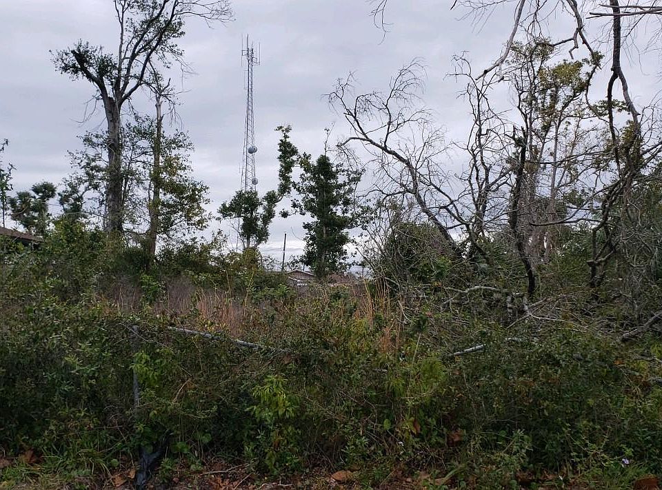 2nd image of 910 Cone Ave