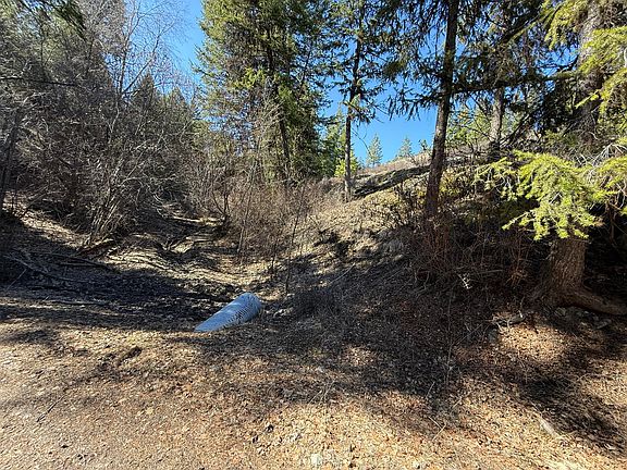 5th image of Coogan Creek Rd