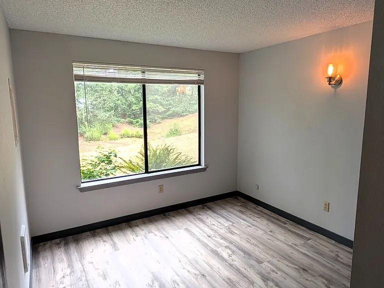 Downstairs bedroom