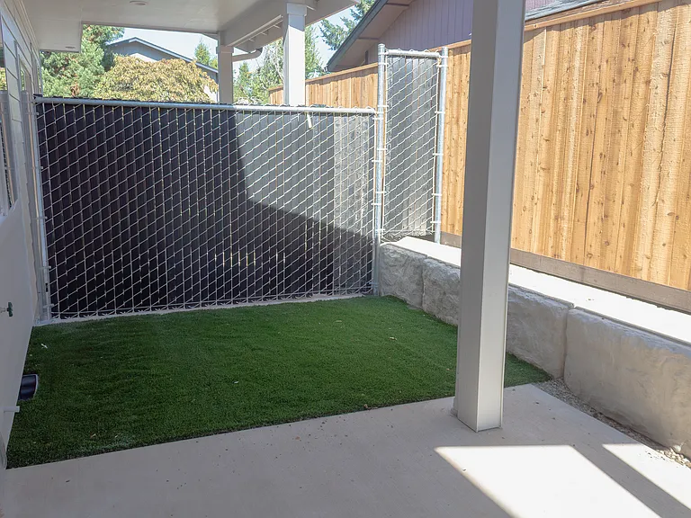 Backyard