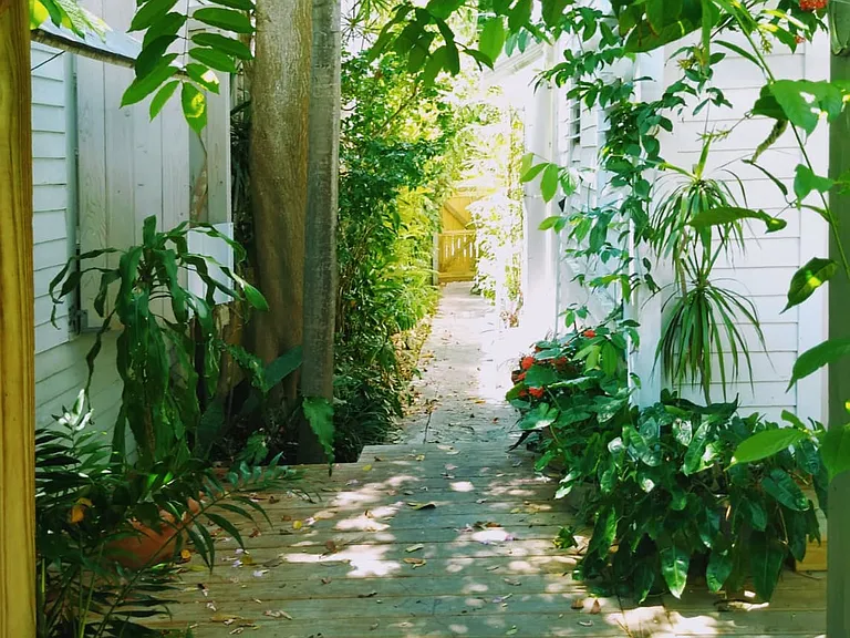 Virginia St — Photo 15