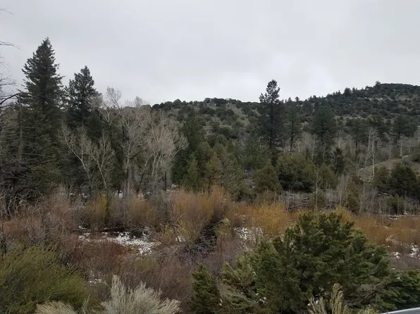 897 Yund Dr #R, Del Norte, CO 81132