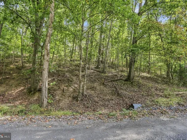 LOT-147C Tea Berry Rd, Maurertown, VA 22644