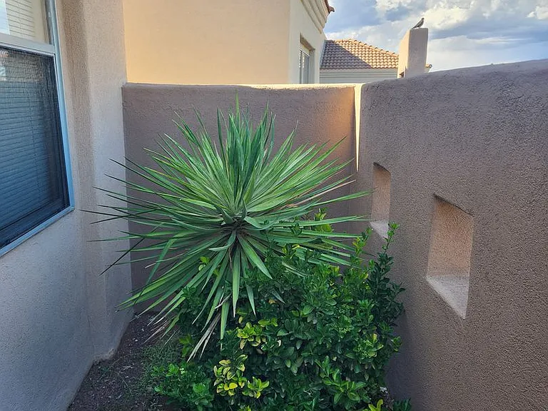 2409 Cortina Mnr — Photo 3