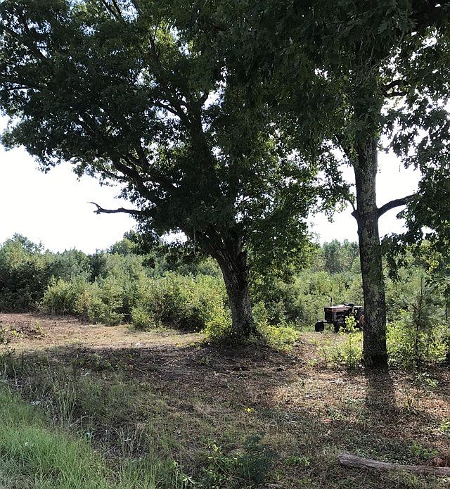 2nd image of 0 Huckleberry Bottom Rd