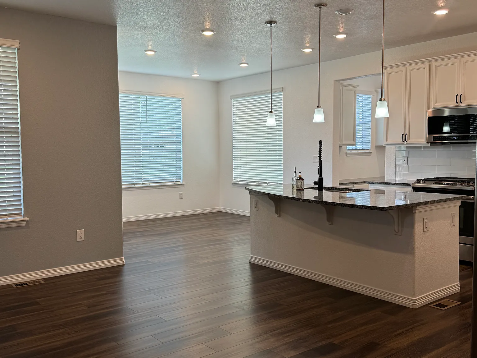 16316 Mount Mestas Way — Photo 3