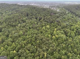 0 Hopeful Rd LOT 2, Munford, AL 36268