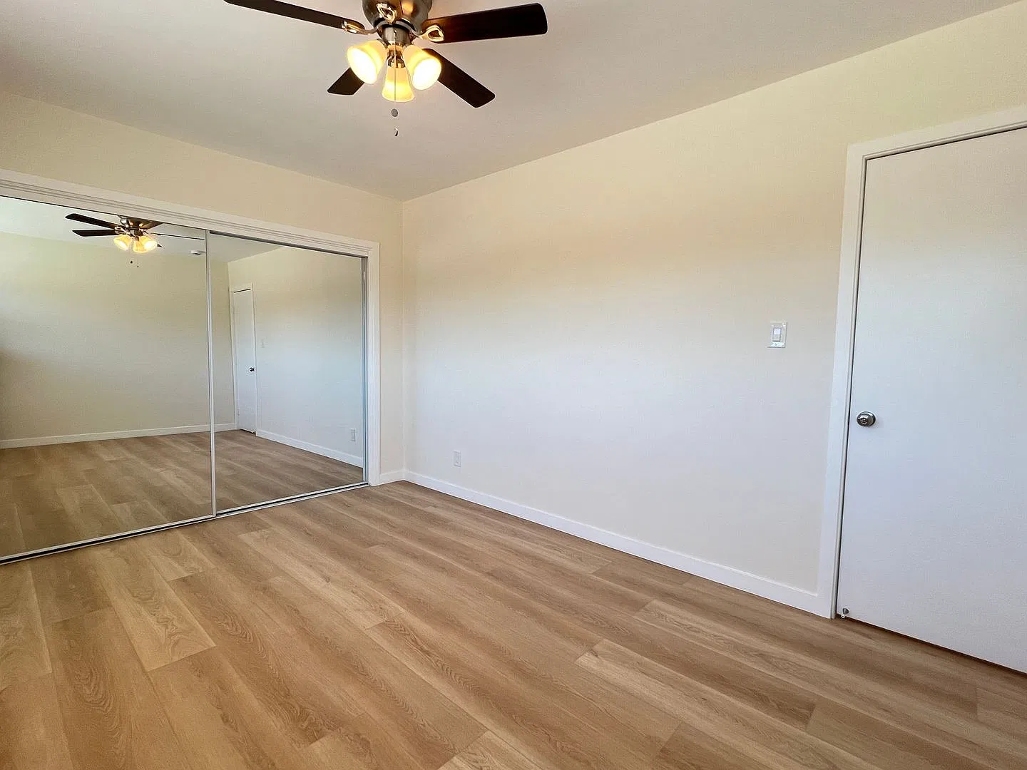 oak — Photo 4