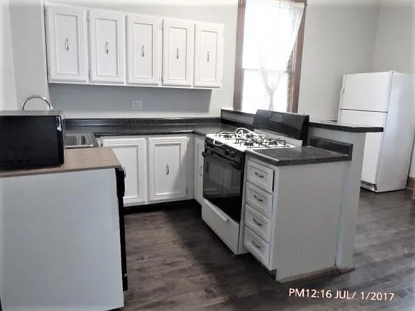 1529 W Nelson St #NIF — Photo 9