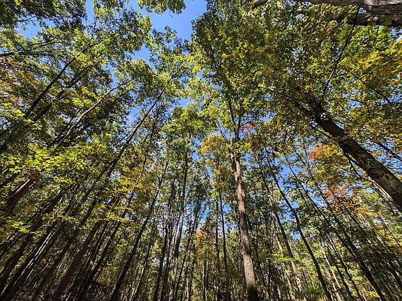 2nd image of 873 Burns Rd