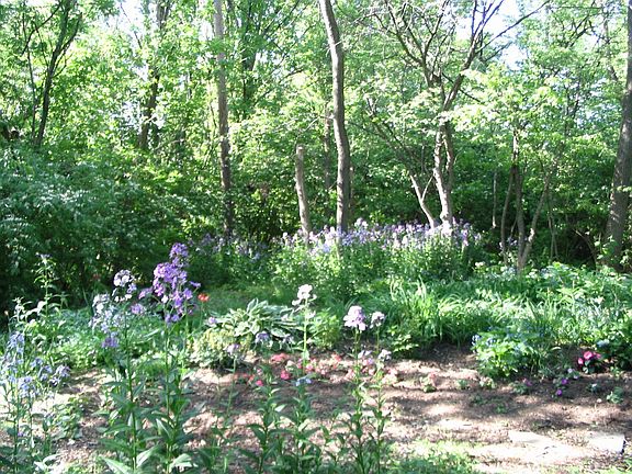 Naturalized 1/2 acre