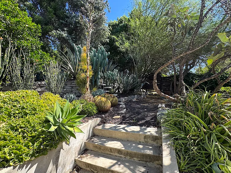 3050 Knob Dr — Photo 21
