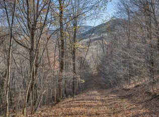 LOT 1 Timber Crest Dr, Roan Mountain, TN 37687