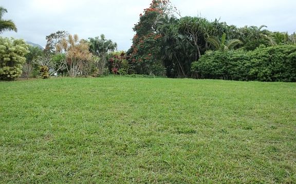 5th image of 5106 Iolani Pl #16A
