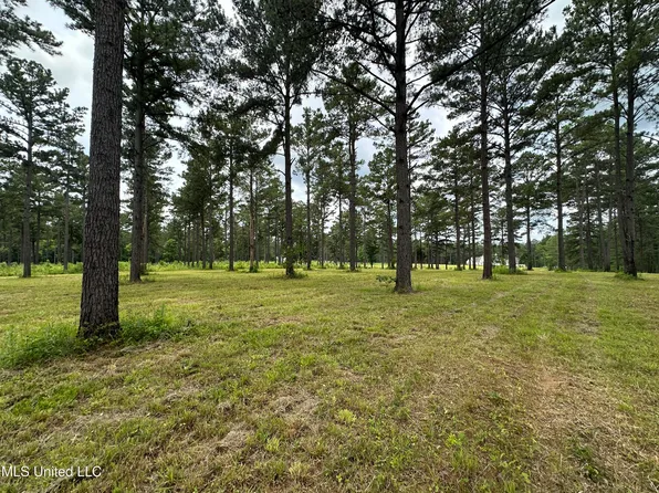Hidden Pines Ln, Flora, MS 39071