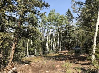 157 Old Squaw Rd, Como, CO 80432