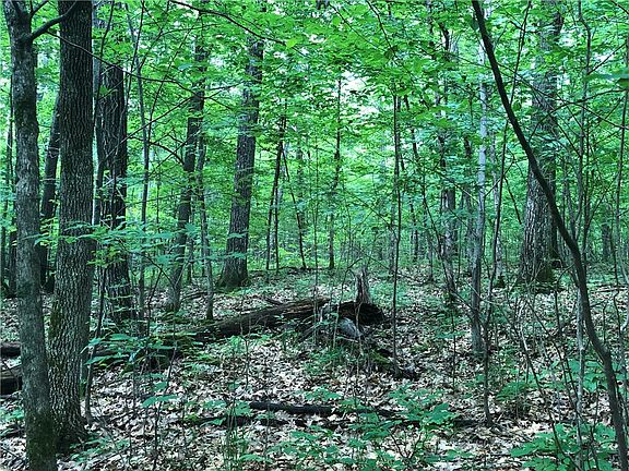 4th image of 0 Tranus Lake Road