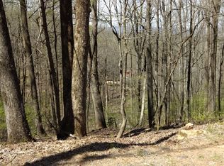 M103 Skyview Dr, Ellijay, GA 30536