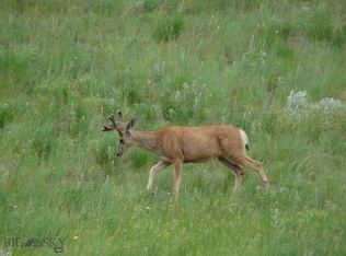 115 Red And King Gulch Rd, Laurel, MT 59044