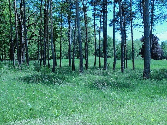 1st image of 26450 Lawson Woods Trl