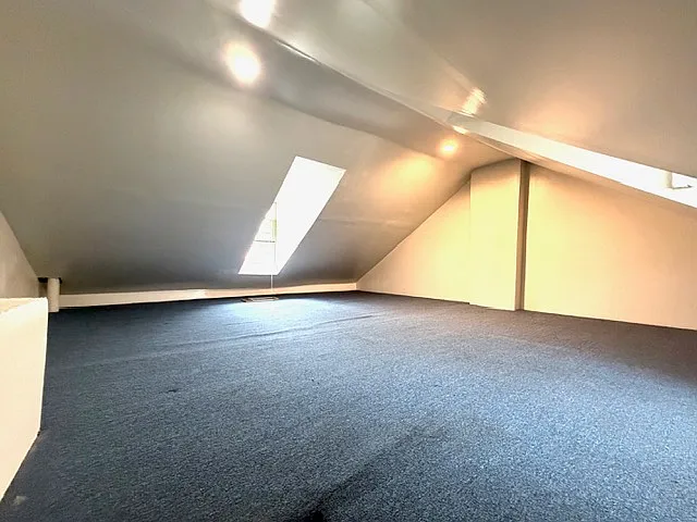 225 Carpenter St — Photo 18