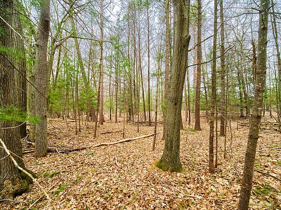 4th image of Piney Rd