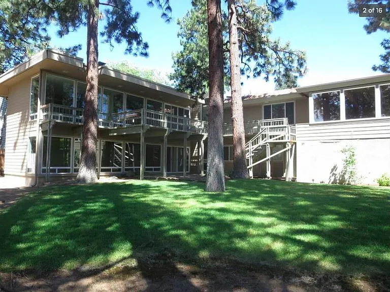 Back View