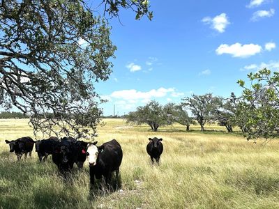 5 S Ranch Rd #783, Harper, TX, 78631