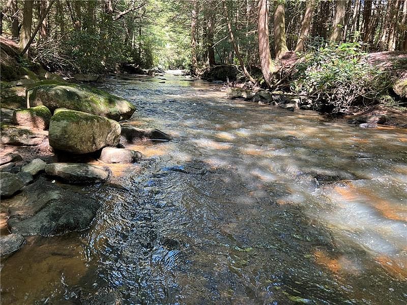 0 Off Tr885 Maust Rd, Gibbon Glade, PA 15440 MLS 1576135 Zillow