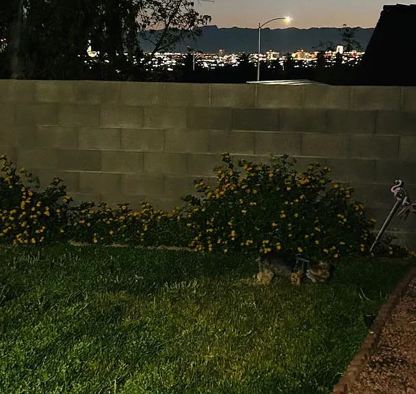 1371 Aultman Ct — Photo 20