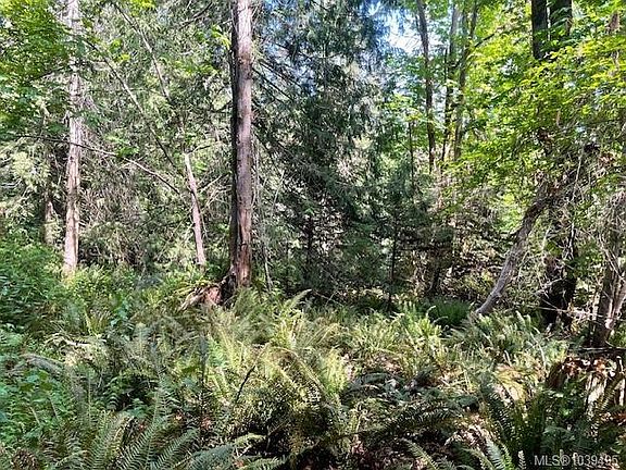 3rd image of LOT 8 Rainbow Rd