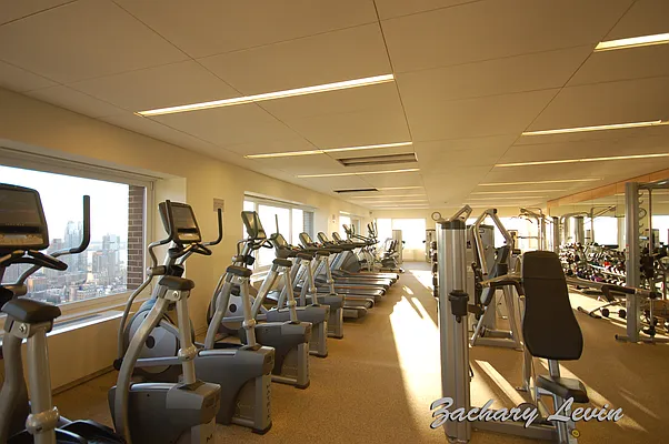 Rented by Douglas Elliman | media 19