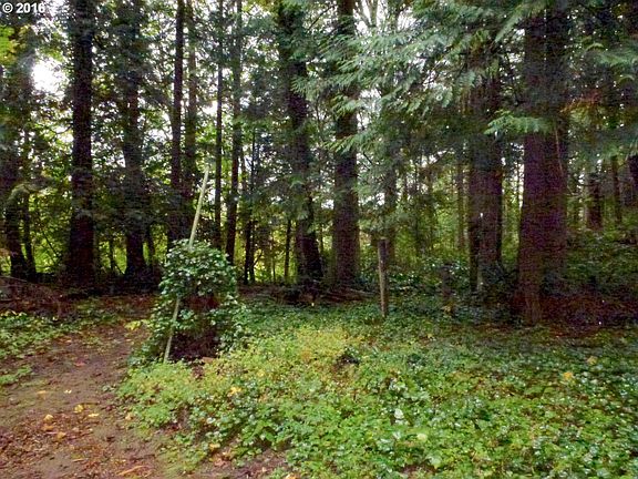 3rd image of SW Beaverton Hillsdale Hwy