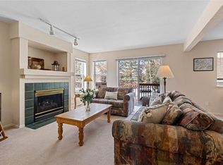 203B S 6th Ave, Frisco, CO 80443