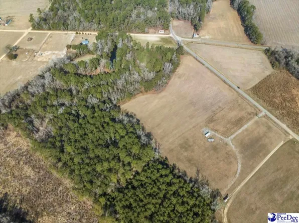 TRACT 2 Kemper Church Rd, Lake View, SC 29563