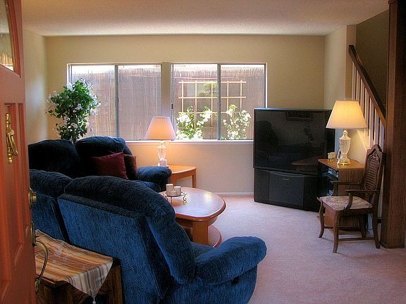 Designer Paint inside and out