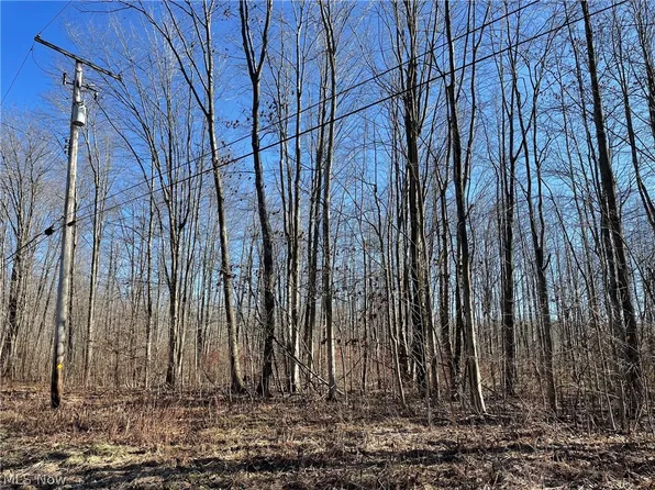 Richardson Rd, Conneaut, OH 44030