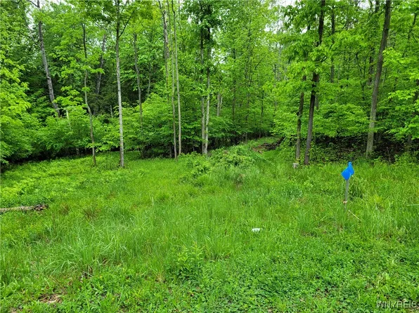 0 County Road 24 #14, Swain, NY 14884