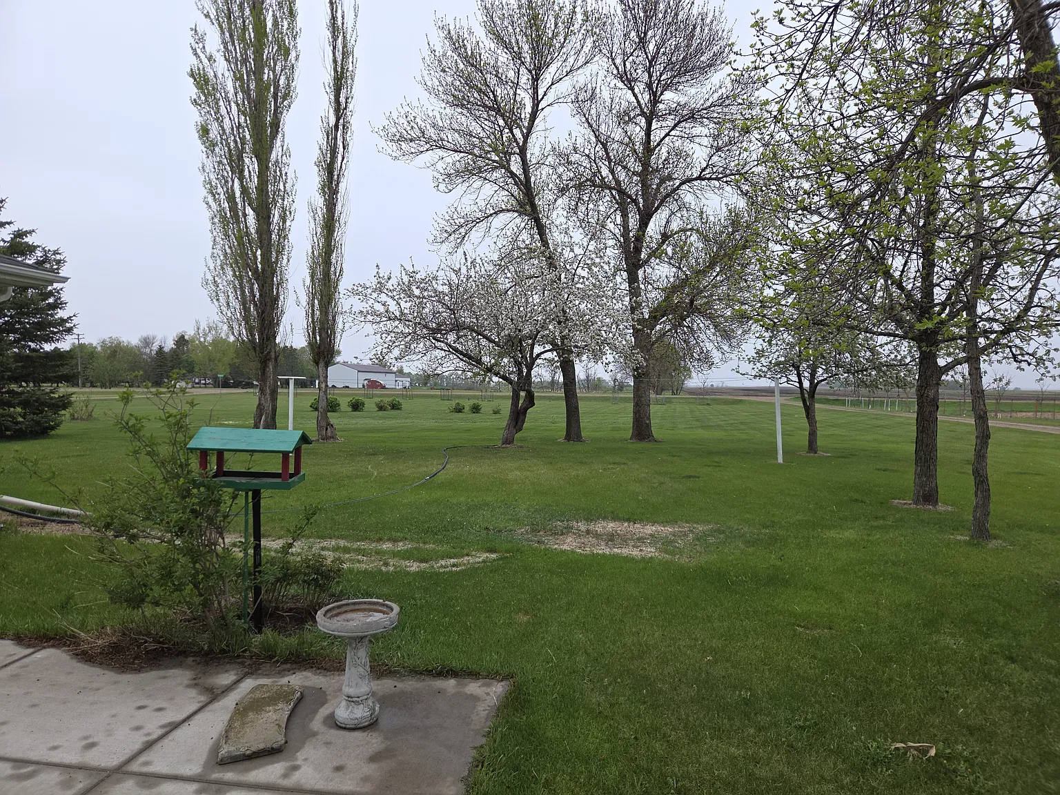 3 bed, 1336 sqft, $3,300 — Photo 3