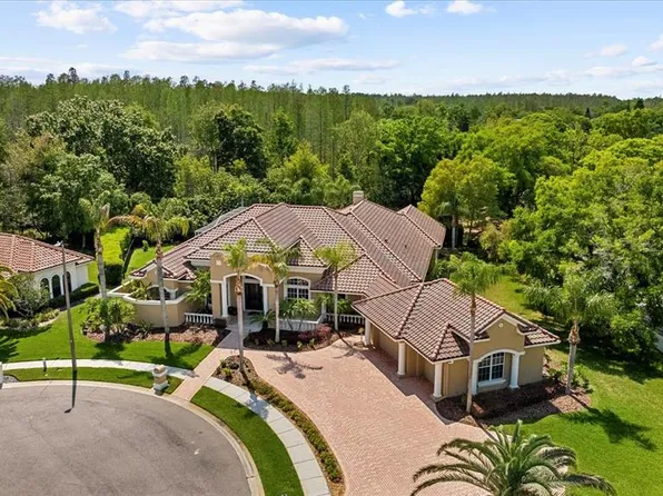 5206 Avenue La Crosse, Lutz, FL 33558