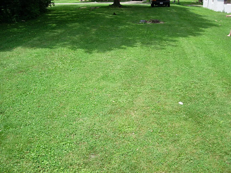 604B Lawn Ave — Photo 13