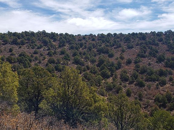 4th image of County Road 67.3