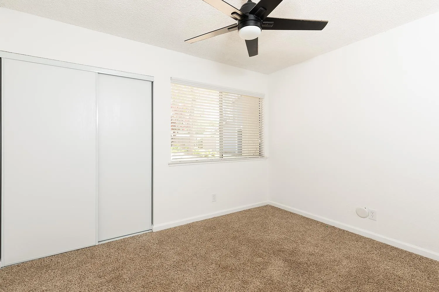 4727 N Cedar Ave — Photo 2