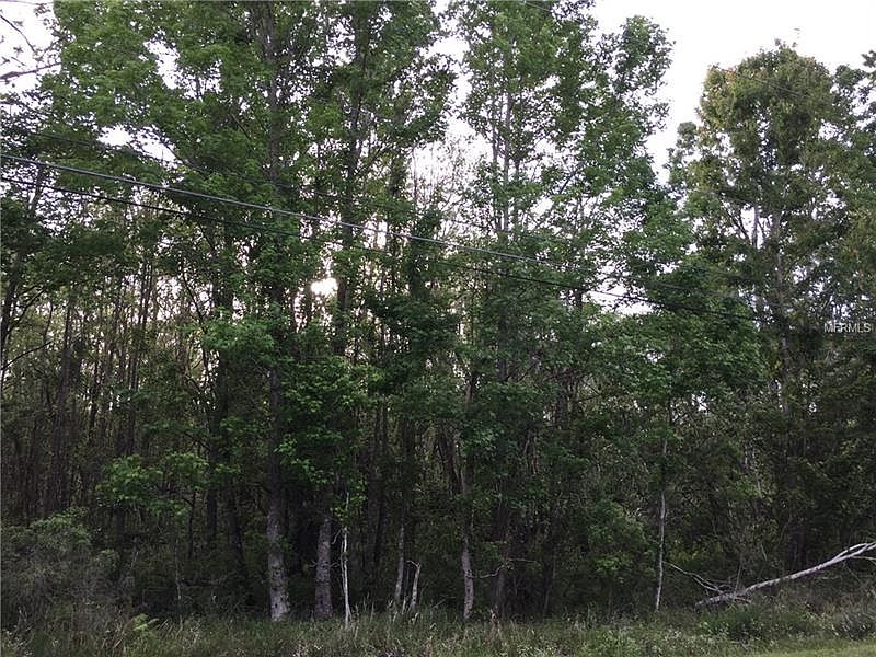 2nd image of S Volusia Ave W