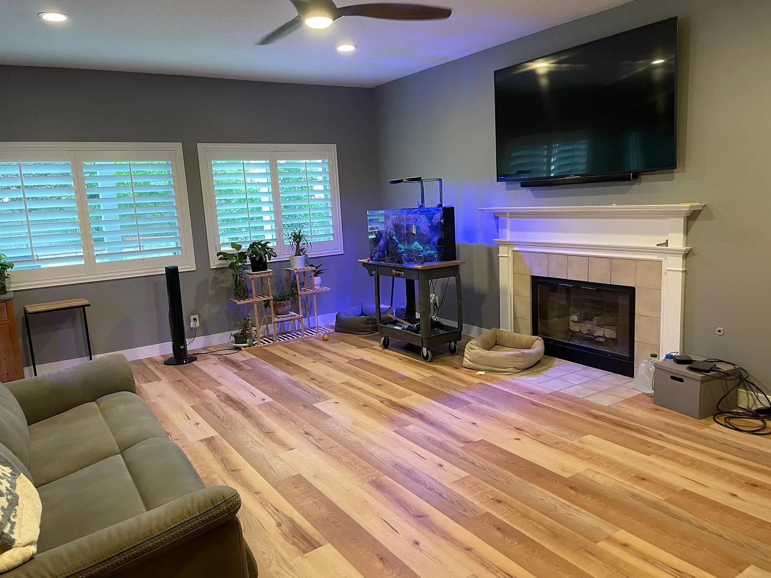 22801 Boxwood Ln — Photo 3