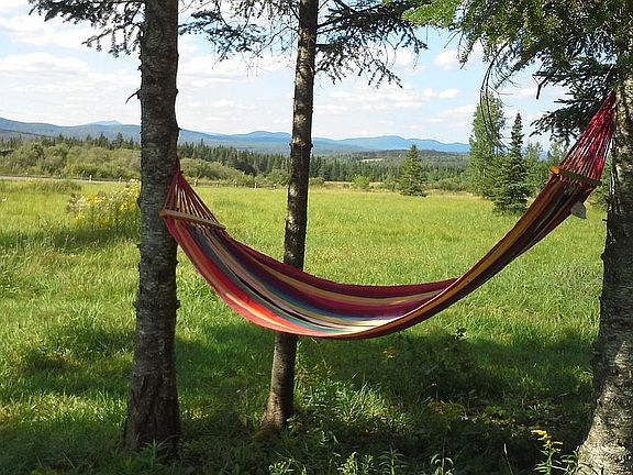 Hammock nap with a view!