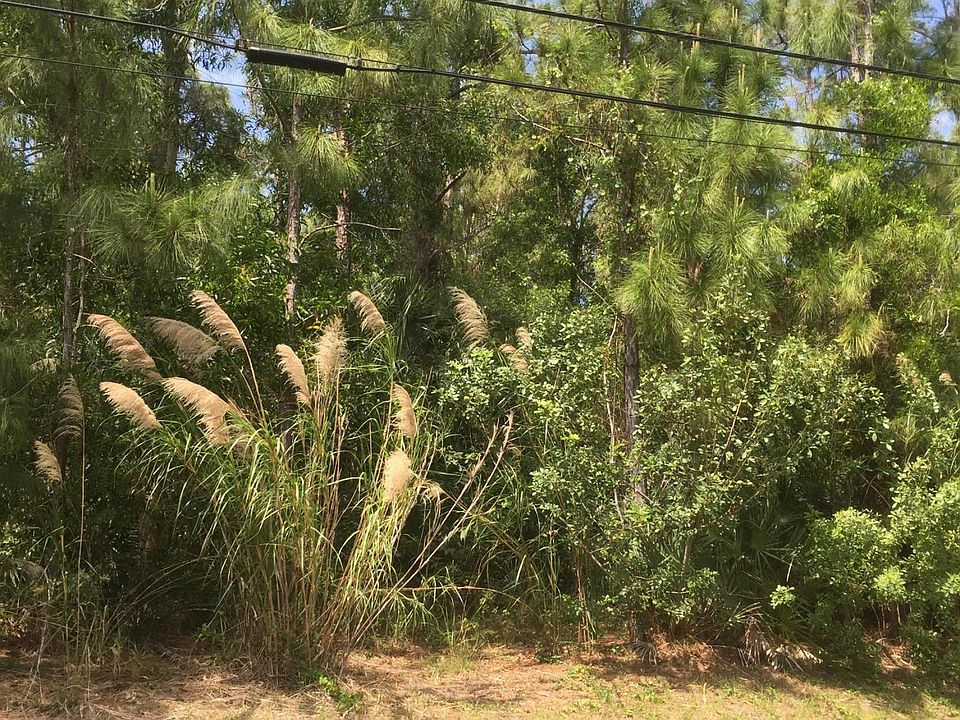 1st image of 00 Yearling Drive