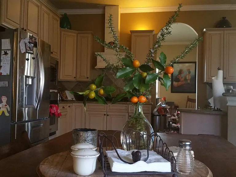 breakfast area adjacent to large kitchen and breakfast area with nice appliances and lots of cabinets